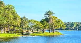 Largo Central Park lake and bridge